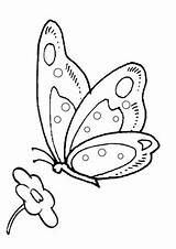 Farfalle Mariposas Colorear Butterfly Mariposa Pintadas Patrones Stampare Fieltro Tapices Moldes Repujado Brasileño Mejicano Hilo Plantilla Colouring sketch template
