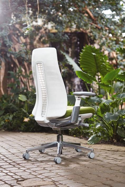 fern   comfortable engaging sitting experience  creates