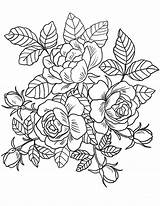 Flores Rosas Buquê sketch template