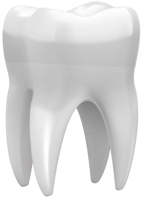 tooth png clip art  web clipart