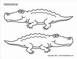 Crocodile Firstpalette Crocodiles sketch template