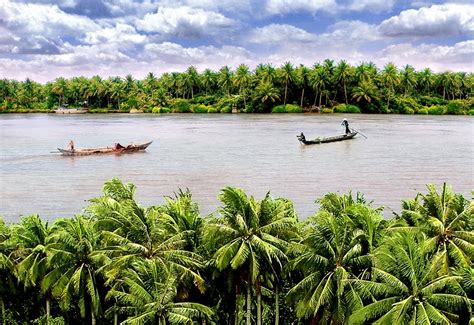 lets visit ben tre province    peaceful countryside called  village  coconuts