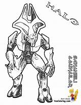 Halo Coloring Pages Color Drawing Yescoloring Colouring Drawings Print Sangheili Printable Reach Sheets Covenant Printables Kids Easy Books Getdrawings Spartan sketch template