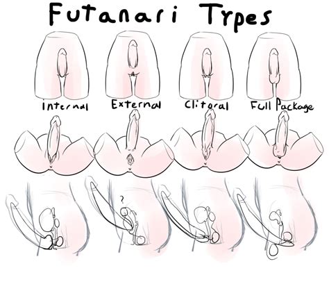 futa types by zezka hentai foundry