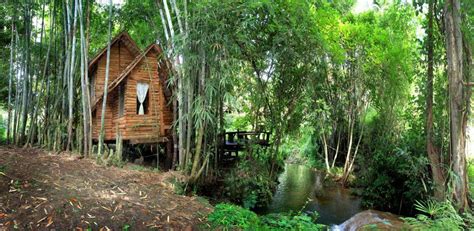 treehouse chiang mai treehouse  private natural pool thailand