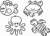 Coloring Animal Pages Sea Kids sketch template