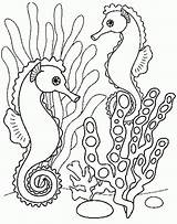 Hippocampe Colorat Morski Konik Carle Imagensemoldes Morskie Kolorowanki Caballito Koniki Caluti Seahorse Cal Ausmalen Desene Malen Kolorowanka 5xx Error Wassertiere sketch template