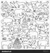 Forest Coloring Animals Pages Doodle Animal Printable Color Vector Kids Sheets Adults Preschool Getcolorings Wild Bubakids Choose Board Royalty sketch template