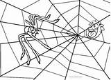 Spider Web Coloring Pages Printable Cool2bkids Print Getcolorings sketch template