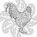 Doodle Rooster Zentangle sketch template