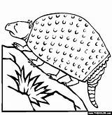 Coloring Pages Glyptodon Prehistoric Mammals Online sketch template