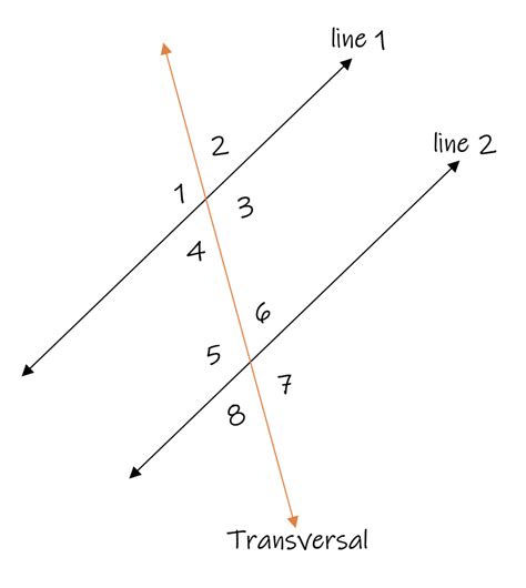 parallel lines  transversals