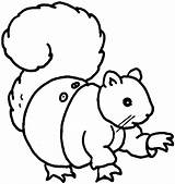 Squirrel Coloring Pages Cute Para Colorear Clipart Flying Viewing Animales Clipartpanda Cliparts Play Animals Library sketch template