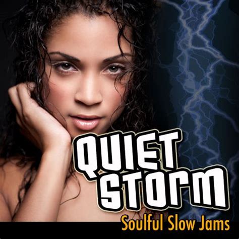 quiet storm soulful slow jams various artists songs reviews credits allmusic