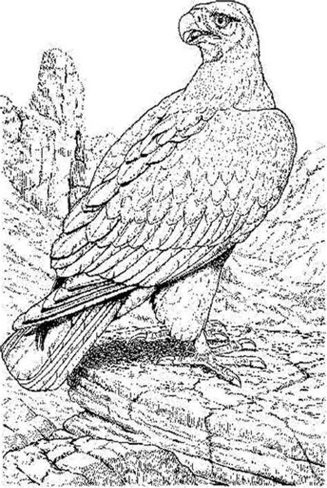 endangered animals species list kids coloring pages  colouring pictures