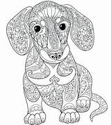 Mandala Coloring Pages Dog Print Dachshund Printable Mandalas Adults Pug Animal Color Getcolorings Dogs Getdrawings Adult Goldendoodle Da Ausmalen Tiere sketch template