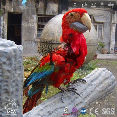 robotic parrot model animatronic macaw
