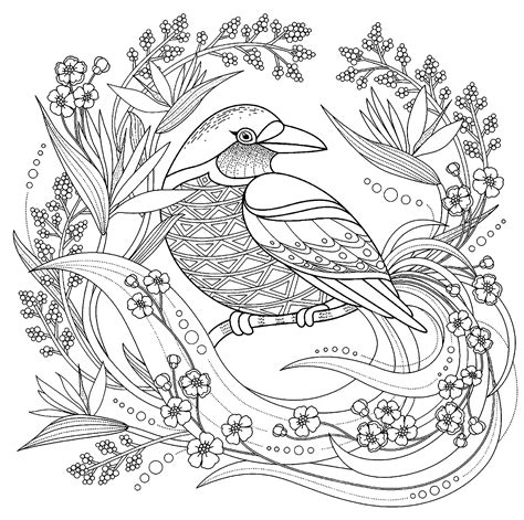 birds lark coloring pages png  file