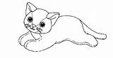 Beanie Cat Baby Coloring Pages Ty Cats Babies Boos Activity sketch template