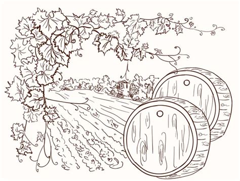 hand drawn vineyard stock vector  slena