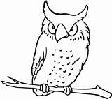Owl Coloring Pages Kids Flying Printable Colouring Drawing Print Getdrawings Comments Coloringhome sketch template
