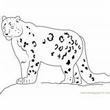 Leopard Coloringpages101 sketch template
