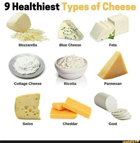 healthiest types  cheese blue cheese mozzarella cottage cheese