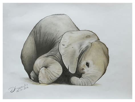 baby elephant realistic color pencil sketch drawing  sketches  pixels