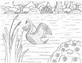 Swan Coloring Pages Lake Print Coloringbay sketch template