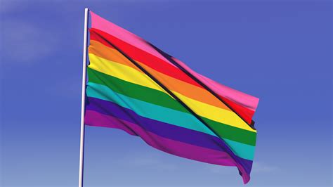 de regenboogvlag staat allang niet meer voor radicale gelijkheid de