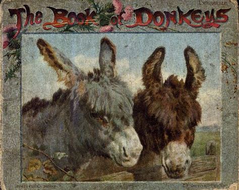 book  donkeys front cover donkey cute animals folk art