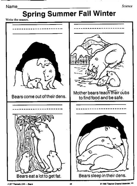 hibernation worksheets  kindergarten hibernation worksheets