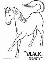 Coloring Pages Horse Realistic Print Popular Printable Color sketch template