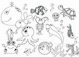 Coloring Pages Water Animals Ocean Color Getcolorings Printable sketch template