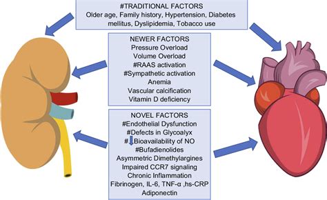 mild  moderate chronic kidney disease  cardiovascular