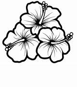 Hibiscus Hawaianas Hawaianos Hawaiana Blumen Hummingbird Hydrangea Bordar Acuarela Ilustracion Pintados Azulejos Bordadas Clipartmag Dibujpos Riscos Plumeria Puerto Hibisco Pintadas sketch template