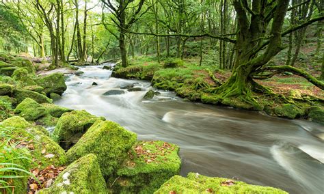 cropped bigstock forest river panorama jpg sp civil design