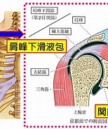 50肩 接骨院 整形 に対する画像結果.サイズ: 154 x 185。ソース: www.dr-navip.jp