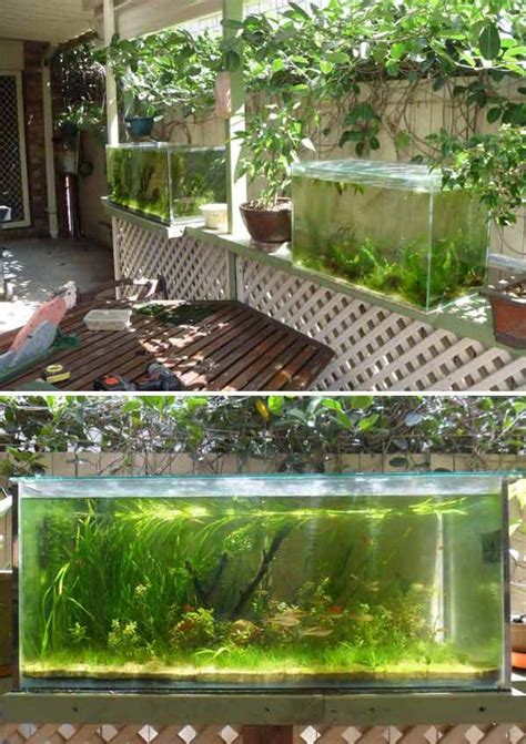 small garden  backyard aquarium ideas  blow  mind