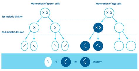 Chromosomal Disorders Praenatest