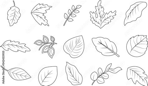 leaf clip art images    clipart library clip art library
