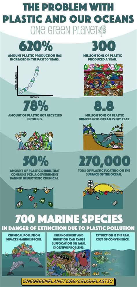 stunning infographic shows   plastic habit impacts  ocean  marine animals