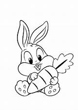 Conejos sketch template