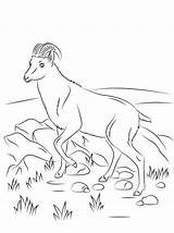 Coloring Goat Pages Tahr Nilgiri Wild Printable Animal Kids Whippet Animals Color Goats Print Sheet Preschool Bestcoloringpagesforkids Sheets Drawing Baby sketch template