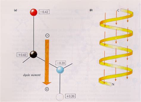 net dipole moment  electric dipole moment vector direction