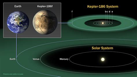 kepler finds st earth size planet  habitable zone   star nasa