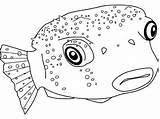 Puffer Coloring Fish Poisonous sketch template