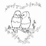 Coloring Pages Parrot Cute Lovebirds Color Toddler Hawk Headed Will Pic Girl sketch template