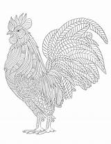 Coloring Pages Farm Animal Adults Adult Chicken Mandala Animals Rooster Printable Color Roosters Vector Stock Royalty Dog Chickens sketch template