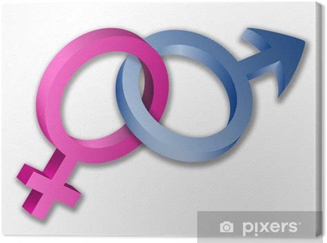 canvas  mannelijke en vrouwelijke geslacht symbolen pixers  leven om te veranderen